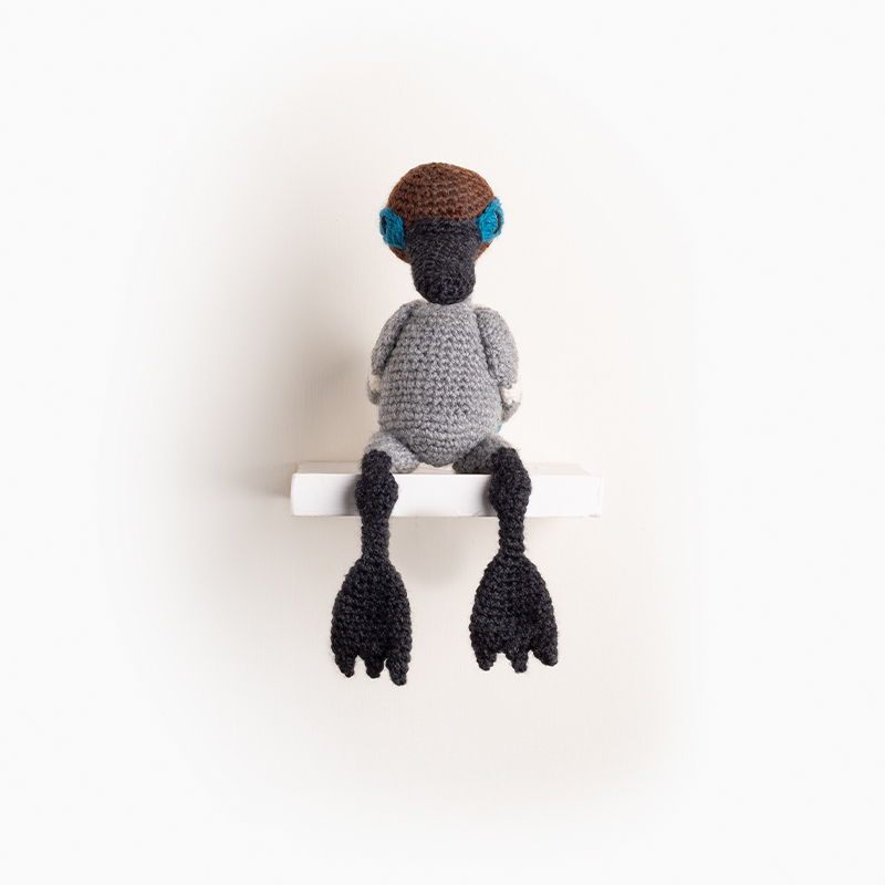Arthur the Blue-Winged Teal Crochet Pattern